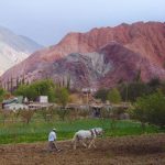 Persona trabajando la tierra con vista del Cerro 7 Colores, Purmamarca, Jujuy