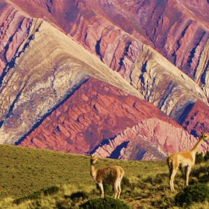 Mirador Hornocal, Cerro 14 colores