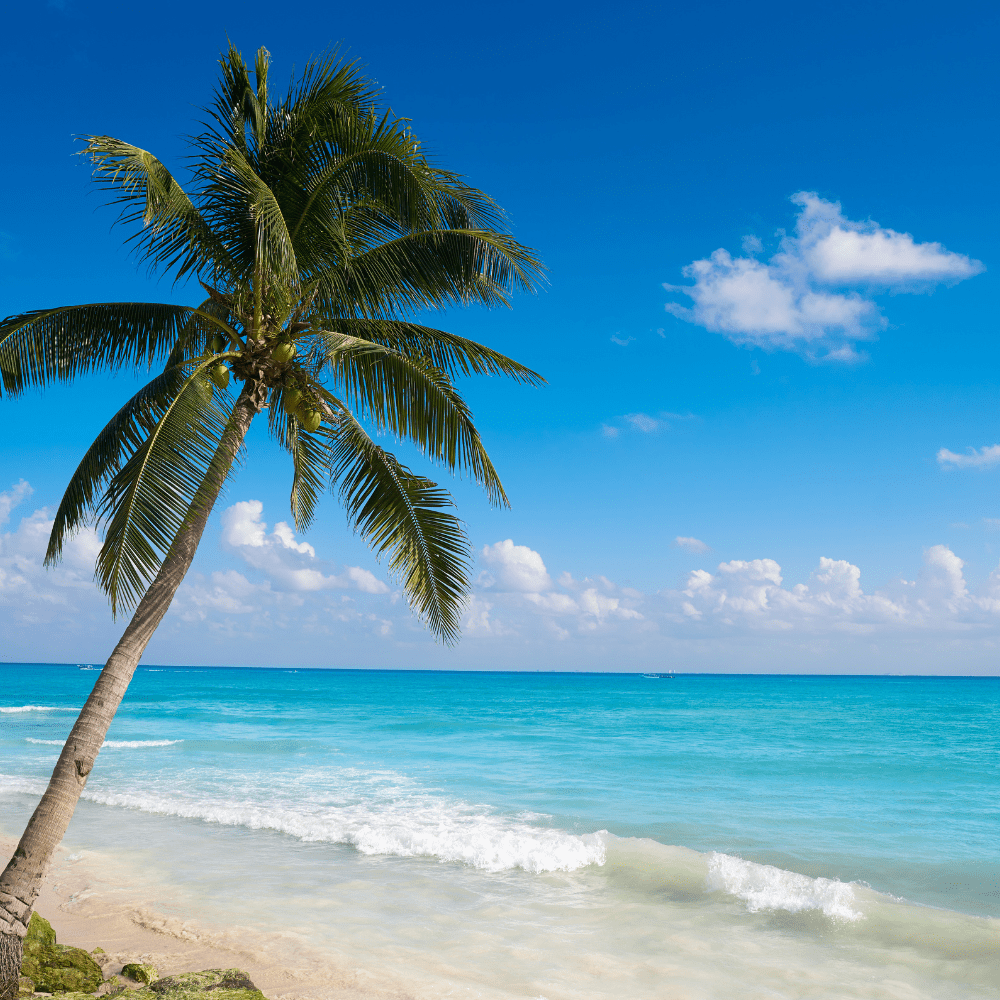 Vacaciones enel Caribe, sol, playa y todo incluido