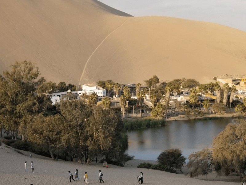 Oasis de la Huacahin¿na_Peru