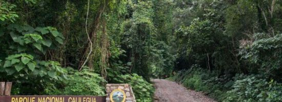 Ingreso al Parque Nacional Calilegua, Jujuy. Reserva de Yungas