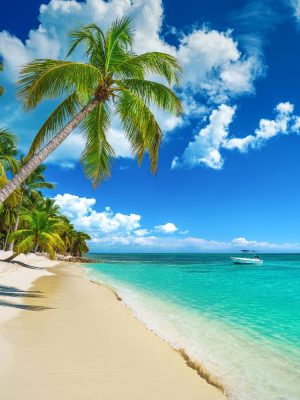 playa caribe brasil viaje internacional desde argentina