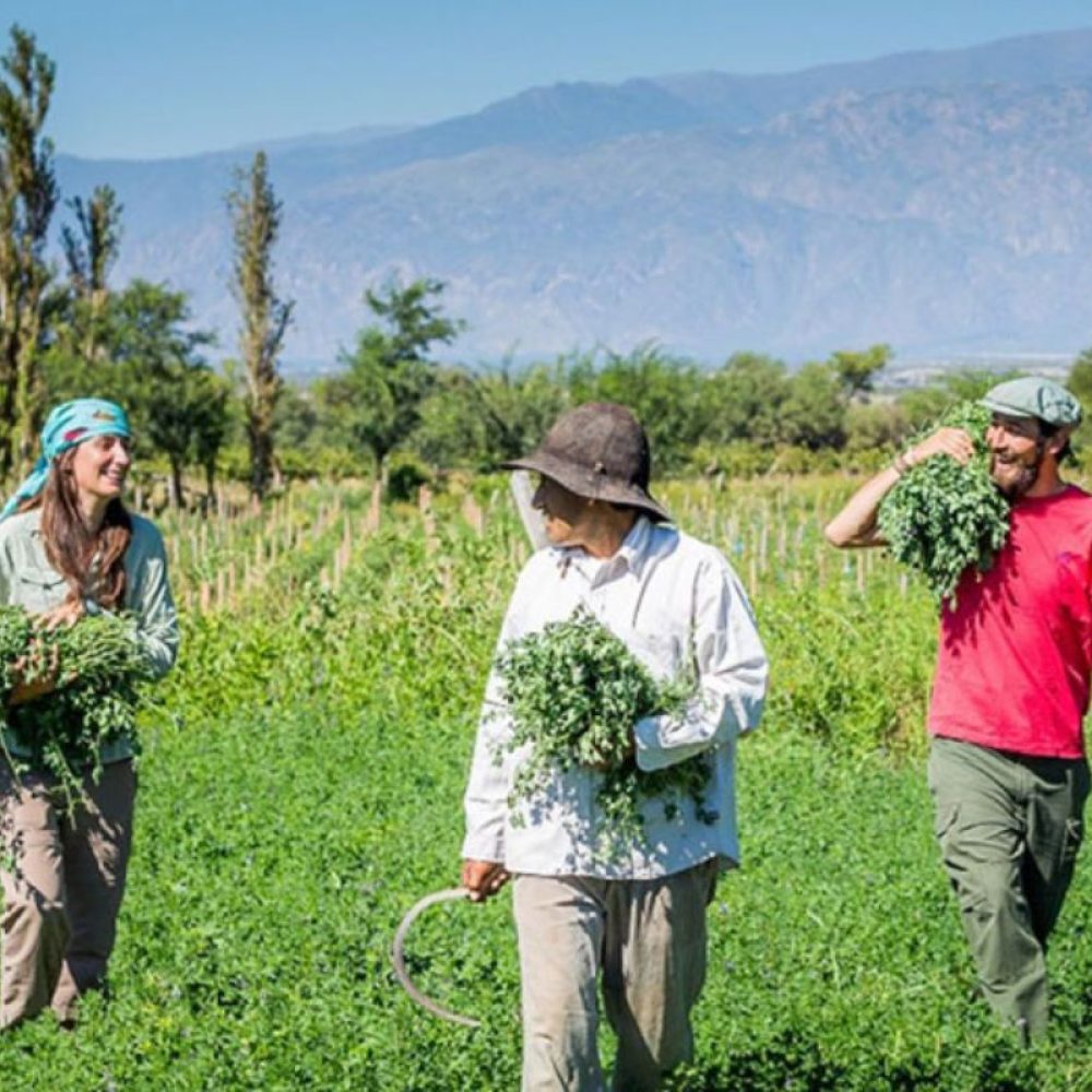 Turismo comnunitario y ecológico en Jujuy, comunidad de Hornaditas, Jujuy