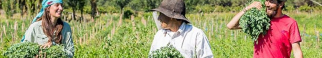 Turismo comnunitario y ecológico en Jujuy, comunidad de Hornaditas, Jujuy